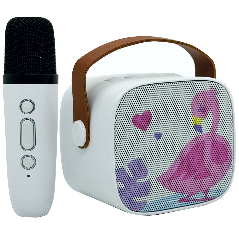 Set Karaoke Para Niñas Inalámbrico KR-K8 Todopolis